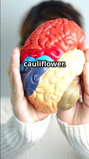 Your Brain Is More Powerful Than You Think 🤯 #brainpop