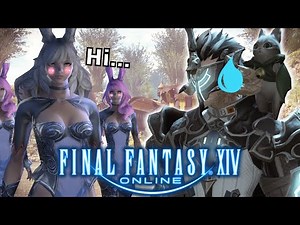 The Final Fantasy XIV New Player Experience...