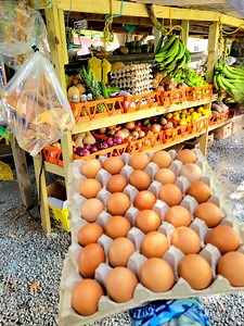 329K views · 6.9K reactions | Todo Fresco ❤️ Todo de Aqui  un Supermercado de Campo 讀 Carton 30 Huevos a $8.25 陋 Aguacates Gigantes... el Queso con Guayaba Monumental..Leche de Cabra Fressquesita y hasta Bacalao.. Conseguiras Todo lo que Buscas Nos encanto el lugar | Puerto Rico desde el Aire | Facebook