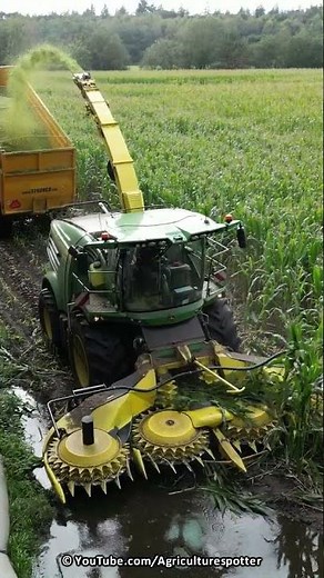 Mais Silage | John Deere + Massey Ferguson | Geurtsen & Ploeg | 2023