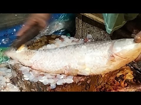 🔴 Relaxing Fish Cutting Live | Pure ASMR