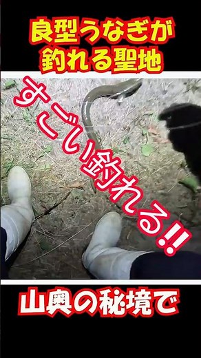 The Secret Spot Where You Can Catch Huge Eels Instantly!