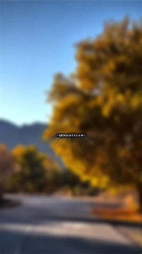 𓆩 𝐾𝑎𝑏𝑦𝑙𝑖𝑒 𓆪 on Instagram: "❤️‍🩹❤️‍🔥 #kabylestyle💛💚 #kabyle #kabylegirl♓ #kabyledz🇩🇿 #kabyle_dance_amazighs_berber_danseuses #kabyle_de_france #kabylesdeparis♓️ #bouira♓️ #bouira♓️ #bouira♓️ #kabyle #kabylestyle💛💚 #kabylestyle💛💚 #bouira♓️ #bouira♓️ #kabyledefrance"