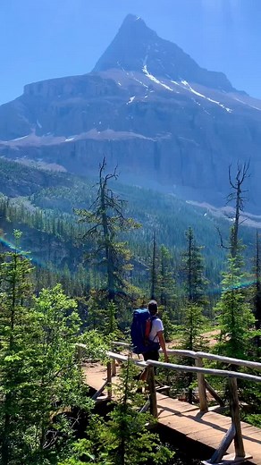 Mount Robson Provincial Park. BC 🇨🇦 42km #hike #adventure #summer #rockies #bc #canada #explore #backcountry #glacierlake #outdoors #lifeoutside