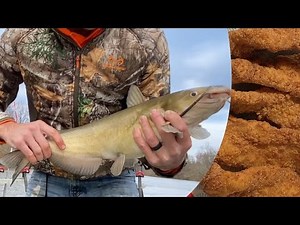 Catfish catch and cook. The perfect fried catfish and hushpuppy’s.