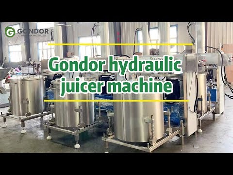 🍏Professional Industrial Hydraulic Juicer Machine | Cold Press Technology for Maximum Juice Yield 🚀