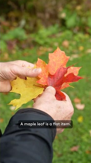 How do you make a maple leaf compelling on a coin?