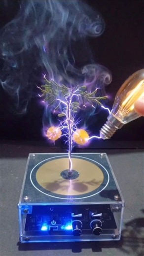 More Power to the Flower! 🌻⚡|science exhibition tesla coil|how to make tesla coil speaker at home ⚡⚡