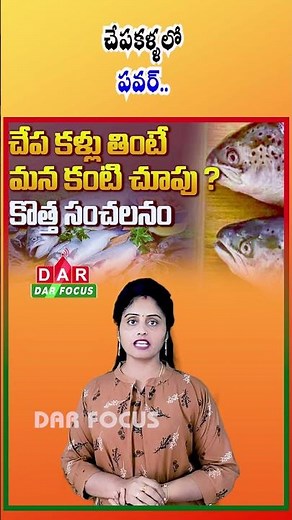 Fish Eyes Benefits | Boost Vision & Brain Health | Latest updates | DAR FOCUS