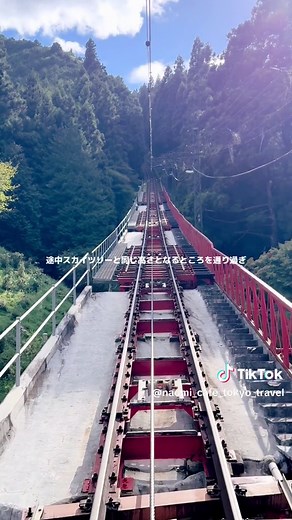 御岳山の絶景ブランコで楽しむ東京の秋