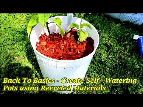 Create Self Watering Pots Using Old Recycled Materials
