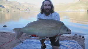Unlocking the secrets of the Buffalo Fish in Arizona