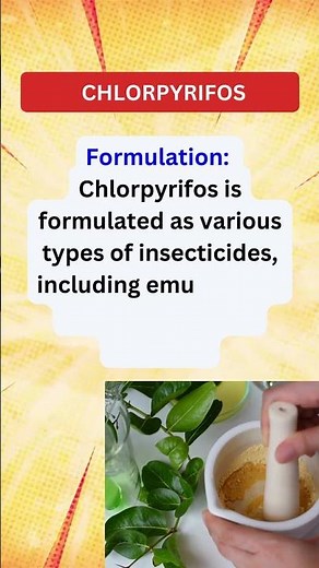 Chlorpyrifos insecticide in Agriculture: Chemistry, Mode of Action, and Safety Concerns" #pest