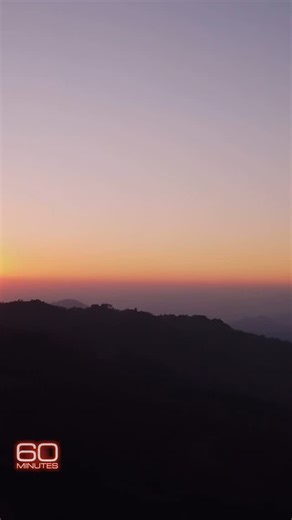 “Imagine the lightness of a butterfly. And there are so many of them here that they actually bend the trees,” says Jorge Rickards, director of @world_wildlife in Mexico. | 60 Minutes