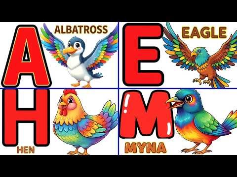ABCD Birds Phonics Song | Learn A to Z Bird Names | Nature Adventure #abcd #birds #phonicsforkids