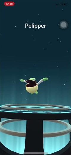 Pokemon GO - Shiny Wingull evolves into Shiny Pelipper