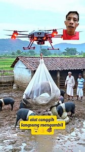 198K views · 346 reactions | Masuk sawah milik petani, alat canggih datang  #fypreel #wildboar #giantpython #amazing #villagelife | Ignasius Bria | Facebook