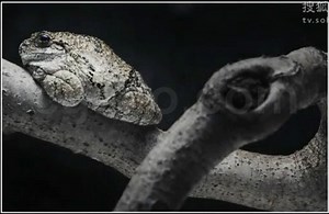 大卫豪比逐层布光摄影视频 Strobist_2b_Sticky