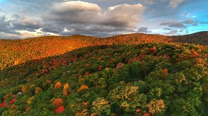 Factors for finding the best fall foliage in N.C.