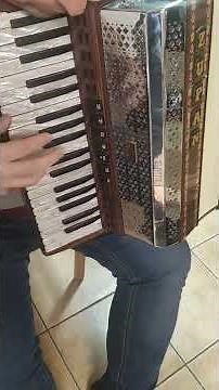 AKORDEON ZUPAN ALPE IV 96 BAS