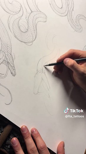 Schlange zeichnen: Ein einfacher Schritt-für-Schritt Tutorial