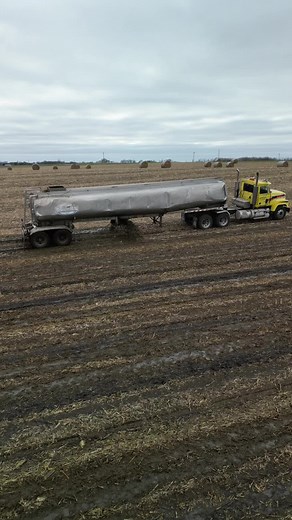 Since you guys like the manure tank so much heres some more footage of it in action#manuremafia #dairyfarming #farmtok #smallfarms #minnesota
