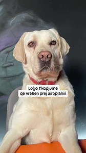 United_Pixels_Academy sur TikTok