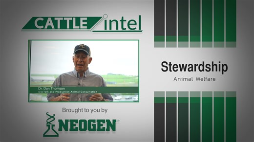 In this Cattle Intel, Dr. Dan Thomson covers the importance of animal welfare. Key takeaways: ⭐ Animal Rights – A moral belief that animals have the same rights as humans ⭐ Animal Abuse – Mistreatment or neglect of animals ⭐ Animal Welfare – Providing good care, proper nutrition, vaccinations, shelter, and respect Animal welfare is caring for the animals that care for us, every single day, through dedication, responsibility, and a deep respect for the livestock that sustain our way of life. Than
