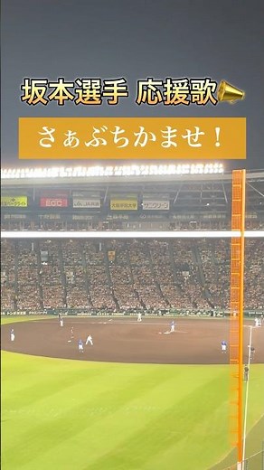 【阪神応援歌#7】坂本誠志郎｜安定感抜群のリード🔥【歌詞付き】#阪神タイガース #甲子園 #shorts #応援歌 #tigers #坂本誠志郎 #プロ野球 #捕手