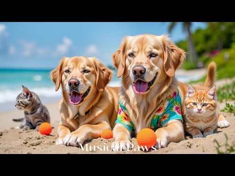 Dog & Cat Music 🎵 Soothing Melodies to Calm Pets and Reduce Stress, Peaceful Pets | Pet TV