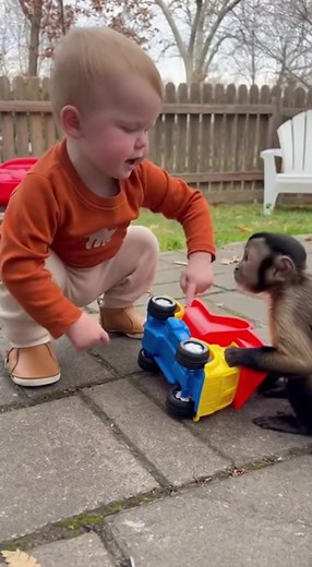 98K views · 2.9K reactions | monkey wants to play with baby toys Follow BananaBaby #baby #monkey #foyou #newpost | BananaBaby | Facebook