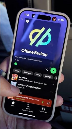 POV: Spotify Offline Backup just saved you on a flight #spotify