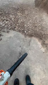 7.5K views · 90 reactions | Satisfying sounds of a leaf blower. #asmr #satisfyingsounds #leafblower #councilsjob #doyourjob #slack #illdoit #helpingthecommunity | Blossom Lawns & Gardens | Facebook