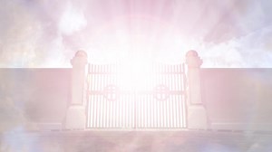 8.8K views · 437 reactions | Over the 40 + years of being a medium James Van Praagh has done countless readings. Now he sits down to share some of his favorite moments over the years. #psychic #medium #mediumreadings #Jamesvanpraagh #lifeafterdeath #afterlife #spiritual | James Van Praagh | Facebook