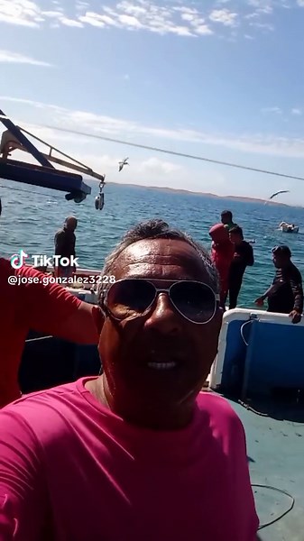 Videos de Jose Gonzalez (@jose.gonzalez3228) con “sonido original - Jose Gonzalez”