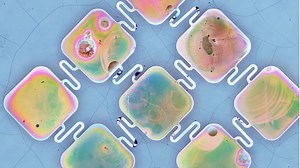 Scientists Innovate Solar Cells to Make Better Pacemakers Medical Devices