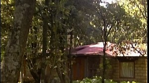 El Manantial | Capítulo 70