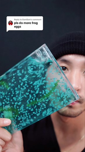 Replying to @BamBam Aquarium 2 🐠 #asmr #drink #water #aquarium #sleep #satisfying