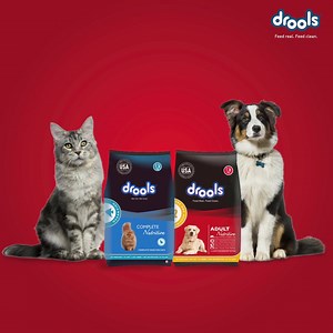 A happy, fun-filled Holi, from all of us at Drools! ❤️ | Drools