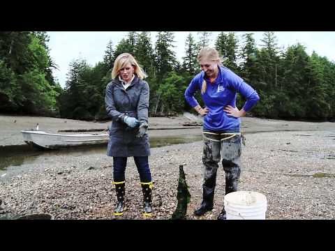 Taylor Shellfish Farms | Shelton, WA | Washington Grown