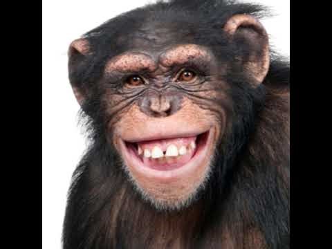 Metroid Prime 4: Beyond No Damage Any% Casual Mode | PB 37