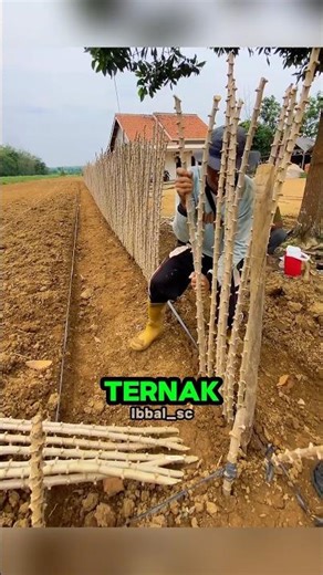 How Indonesian Farmers Save Millions of Rupiah