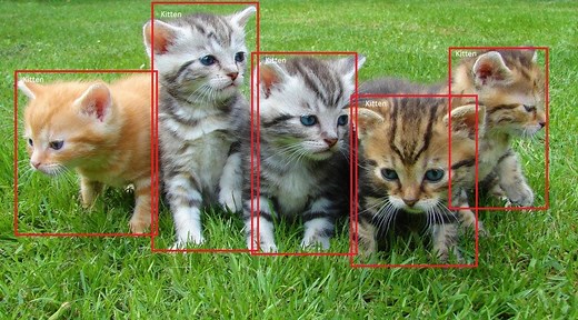Understanding SSD MultiBox - Real-Time Object Detection In Deep Learning | Towards Data Science