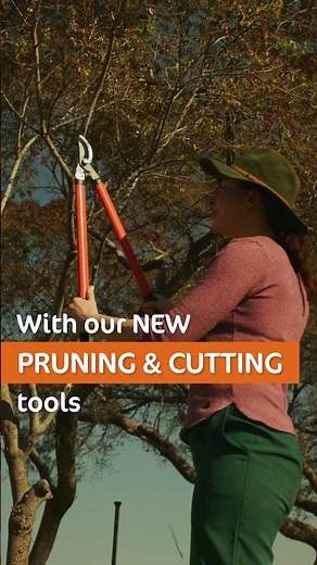 Step into Spring: Fresh Pruning Tools for Every Cut | Garden Master