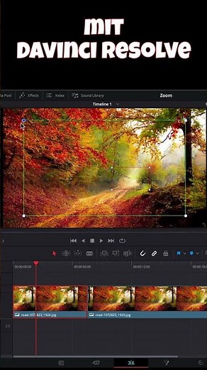 Dynamic Zoom - Davinci Resolve