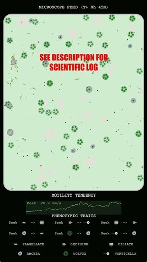 Kinetic Analysis: Swarm Transitions in Micro-Simulations