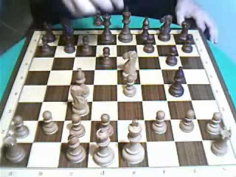 Clase de ajedrez online. Trucos y celadas en la apertura (1). Nivel Básico.