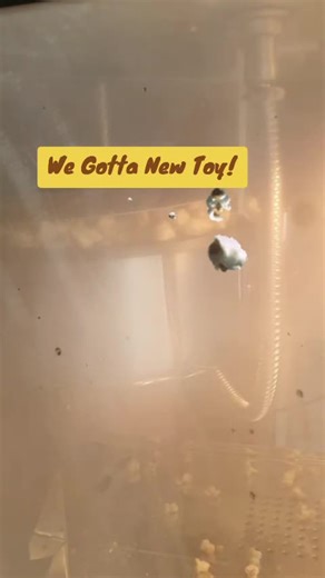 Popcorn Game: Unleash Your Inner Movie Buff