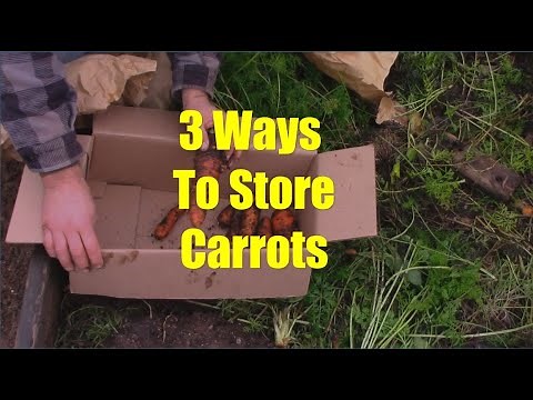 A Few Ways to Store Carrots (or Parsnips) for the Winter