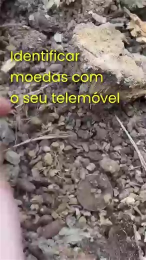 Coin Identifier Scanner App trên TikTok